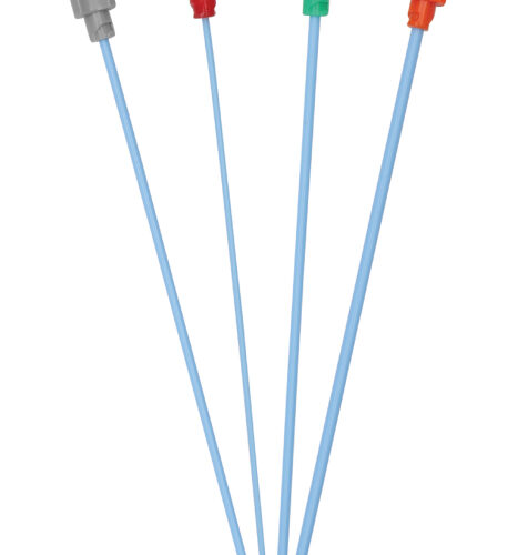 Femoral sheaths (2)